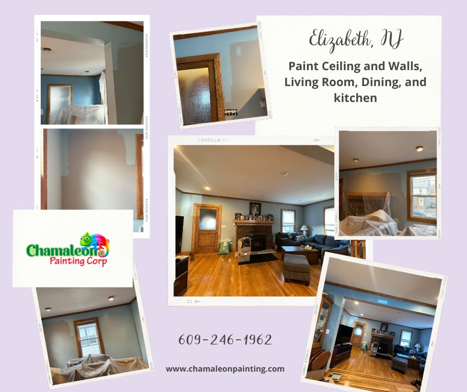 Chamaleon Painting & Molding Image